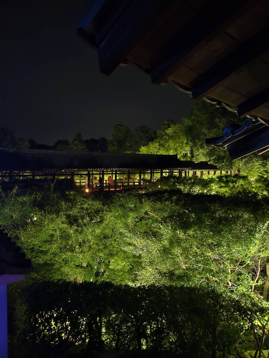 夜の新緑に囲まれたお寺の回廊